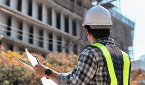 building inspection consultant